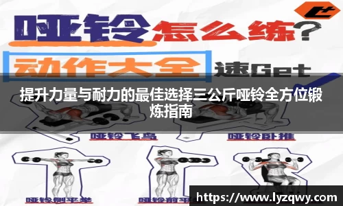 提升力量与耐力的最佳选择三公斤哑铃全方位锻炼指南